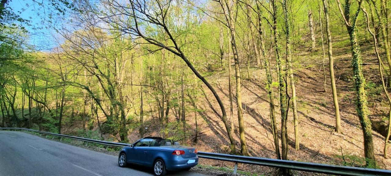 Hos-Cegledi Vendeghaz Miskolc -Oenallo Otthon, Mely Csak Az Oenoeke 외부 사진
